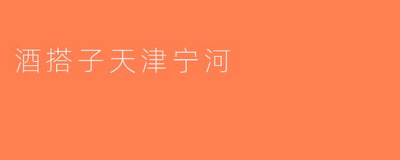 酒搭子天津宁河