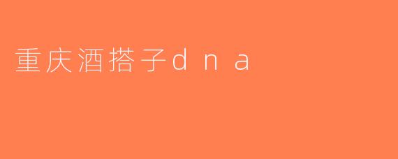 重庆酒搭子dna