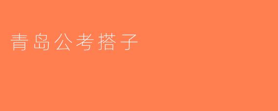 青岛公考搭子