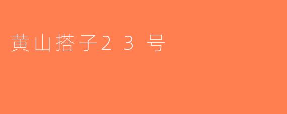 黄山搭子23号