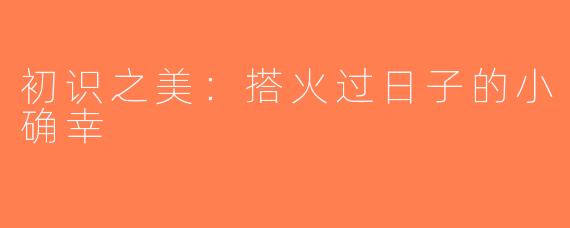 初识之美：搭火过日子的小确幸