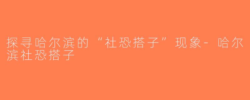 探寻哈尔滨的“社恐搭子”现象-哈尔滨社恐搭子