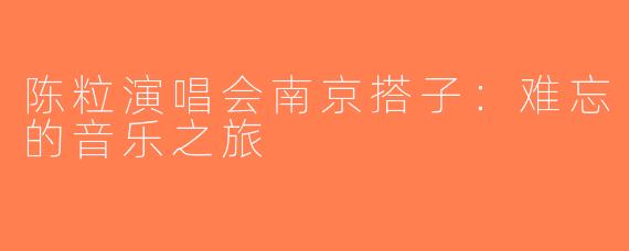 陈粒演唱会南京搭子：难忘的音乐之旅