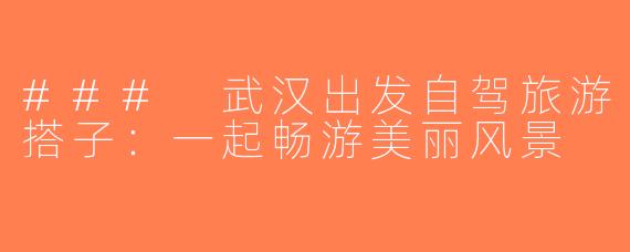 ### 武汉出发自驾旅游搭子：一起畅游美丽风景