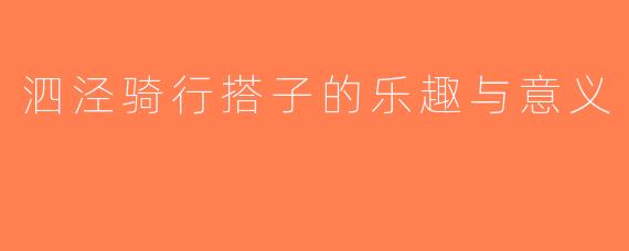 泗泾骑行搭子的乐趣与意义