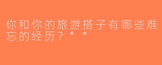 你和你的旅游搭子有哪些难忘的经历？**