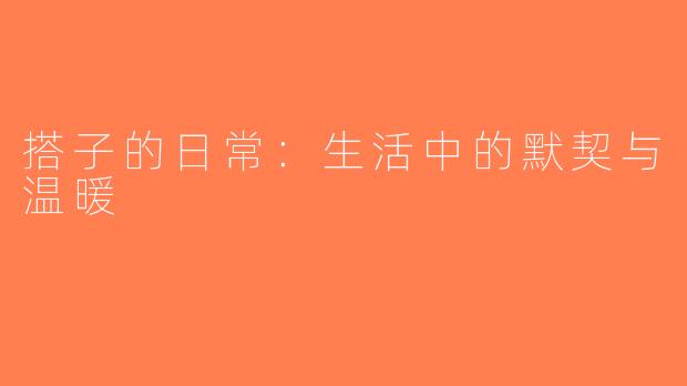 搭子的日常：生活中的默契与温暖