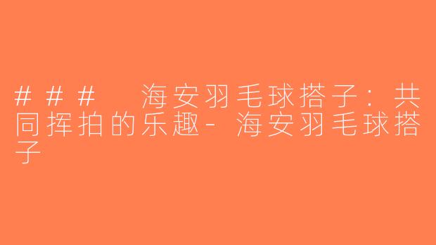 ### 海安羽毛球搭子：共同挥拍的乐趣-海安羽毛球搭子