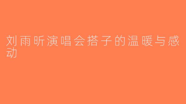 刘雨昕演唱会搭子的温暖与感动