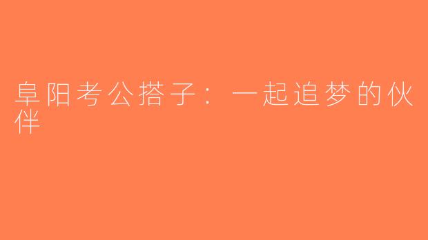 阜阳考公搭子：一起追梦的伙伴
