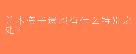并木搭子遗照有什么特别之处？