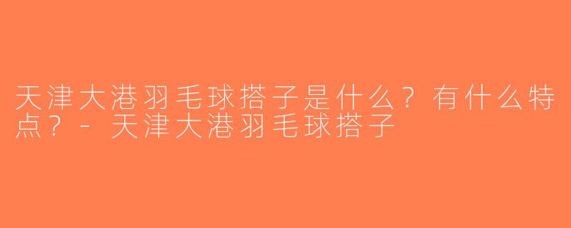 天津大港羽毛球搭子是什么？有什么特点？-天津大港羽毛球搭子