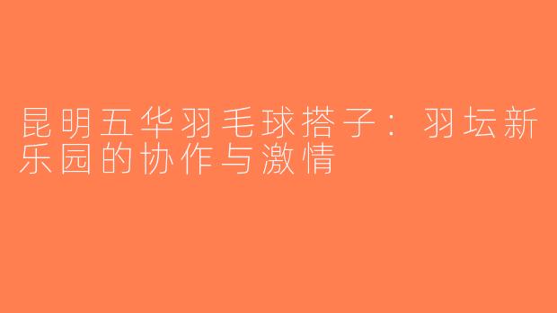 昆明五华羽毛球搭子：羽坛新乐园的协作与激情