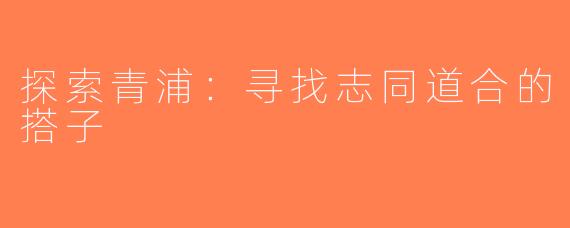 探索青浦：寻找志同道合的搭子
