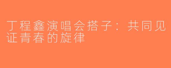 丁程鑫演唱会搭子：共同见证青春的旋律