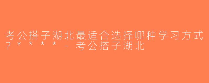 考公搭子湖北最适合选择哪种学习方式？****-考公搭子湖北