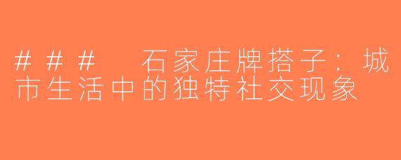 ### 石家庄牌搭子：城市生活中的独特社交现象