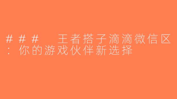 ### 王者搭子滴滴微信区：你的游戏伙伴新选择