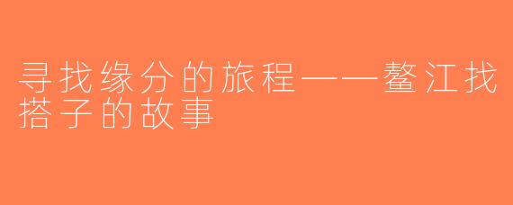 寻找缘分的旅程——鳌江找搭子的故事