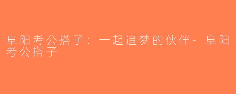 阜阳考公搭子：一起追梦的伙伴-阜阳考公搭子