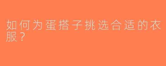如何为蛋搭子挑选合适的衣服？