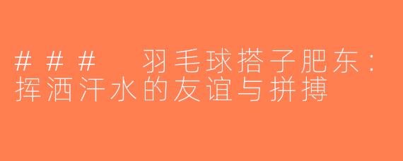 ### 羽毛球搭子肥东：挥洒汗水的友谊与拼搏