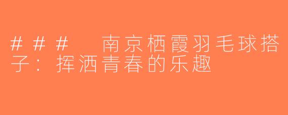 ### 南京栖霞羽毛球搭子：挥洒青春的乐趣