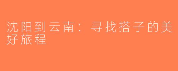 沈阳到云南：寻找搭子的美好旅程