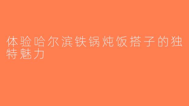 体验哈尔滨铁锅炖饭搭子的独特魅力