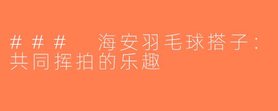 ### 海安羽毛球搭子：共同挥拍的乐趣