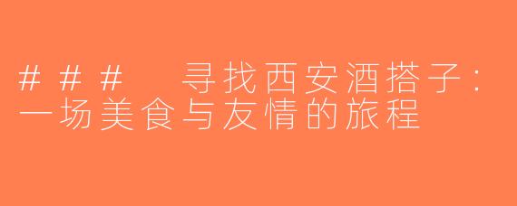 ### 寻找西安酒搭子：一场美食与友情的旅程