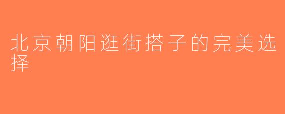 北京朝阳逛街搭子的完美选择