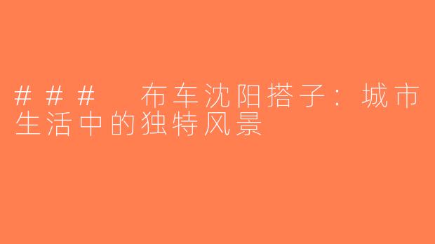 ### 布车沈阳搭子：城市生活中的独特风景