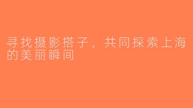 寻找摄影搭子，共同探索上海的美丽瞬间