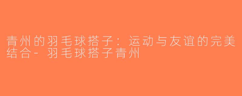 青州的羽毛球搭子：运动与友谊的完美结合-羽毛球搭子青州