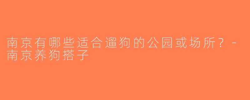 南京有哪些适合遛狗的公园或场所？-南京养狗搭子