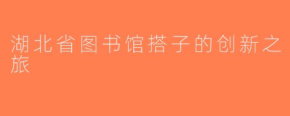 湖北省图书馆搭子的创新之旅