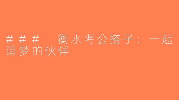 ### 衡水考公搭子：一起追梦的伙伴