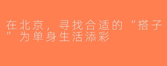 在北京，寻找合适的“搭子”为单身生活添彩