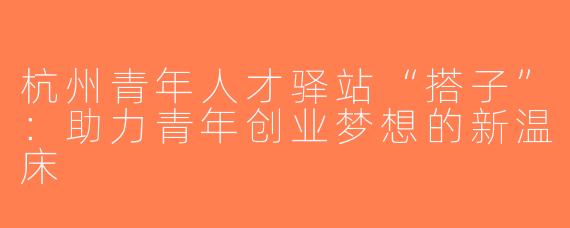 杭州青年人才驿站“搭子”：助力青年创业梦想的新温床