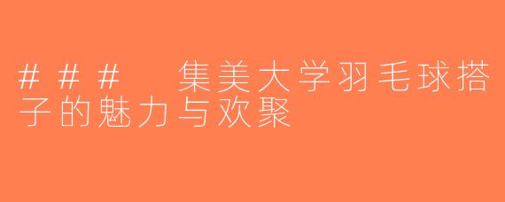 ### 集美大学羽毛球搭子的魅力与欢聚