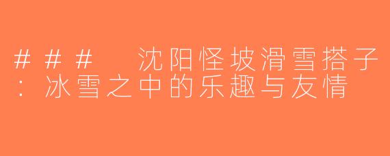### 沈阳怪坡滑雪搭子：冰雪之中的乐趣与友情