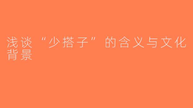 浅谈“少搭子”的含义与文化背景