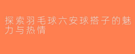 探索羽毛球六安球搭子的魅力与热情