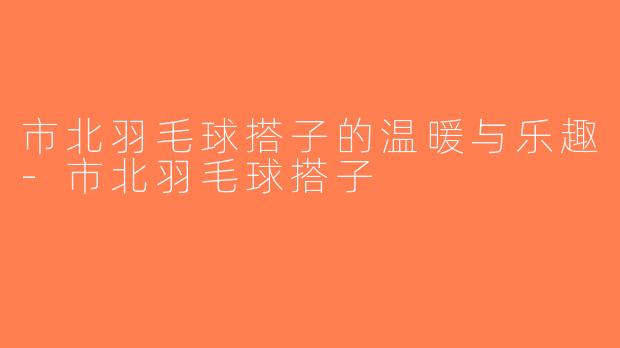 市北羽毛球搭子的温暖与乐趣-市北羽毛球搭子
