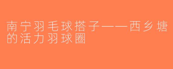 南宁羽毛球搭子——西乡塘的活力羽球圈