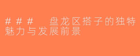 ### 盘龙区搭子的独特魅力与发展前景