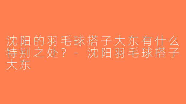 沈阳的羽毛球搭子大东有什么特别之处？-沈阳羽毛球搭子大东