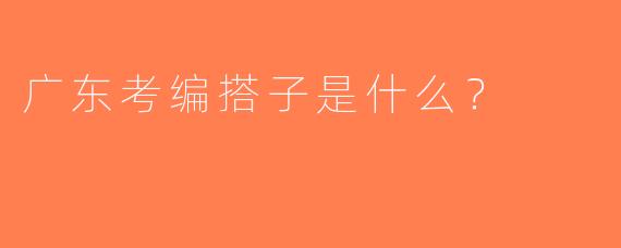 广东考编搭子是什么？  
