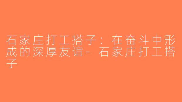 石家庄打工搭子：在奋斗中形成的深厚友谊-石家庄打工搭子